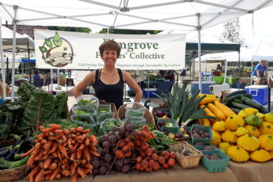 farmers-market-organic4x6