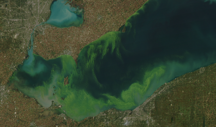 Algae Bloom in Lake Erie